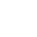 Pi Director